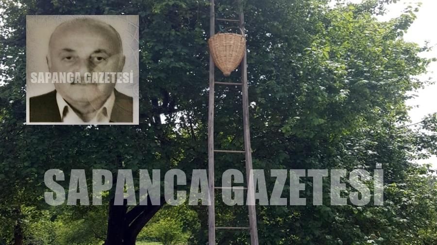 ERİK TOPLAMAK İÇİN ÇIKTIĞI AĞAÇTAN DÜŞTÜ