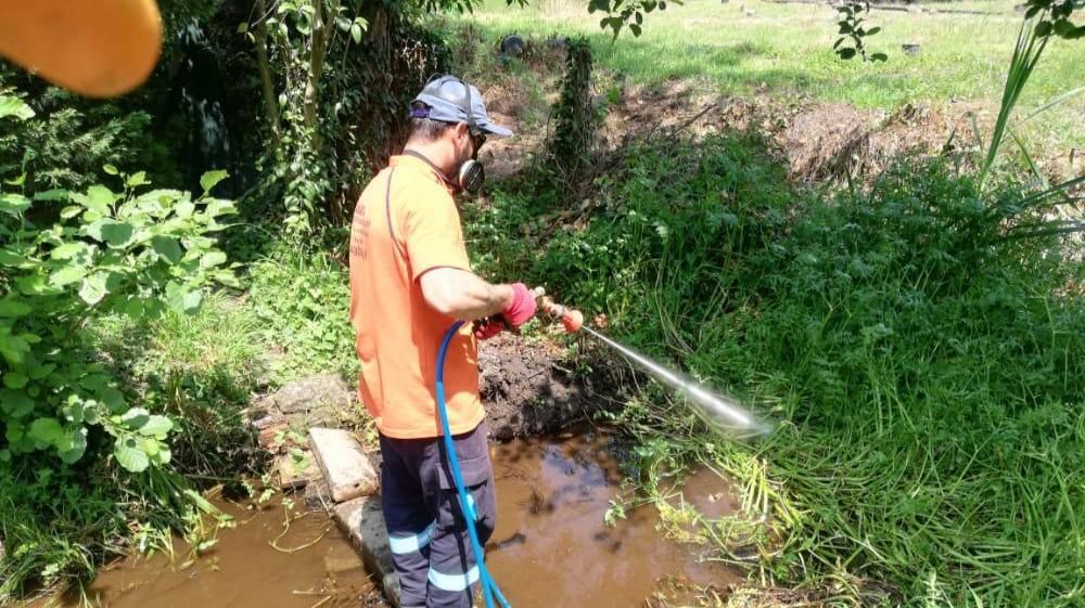 SAPANCA'DA İLAÇLAMA ÇALIŞMALARINA HIZ VERİLDİ