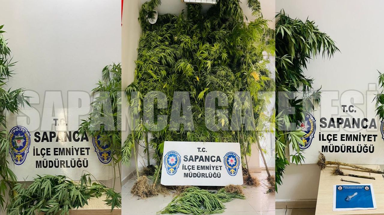 SAPANCA POLİSİNDEN UYUŞTURUCU OPERASYONLARI