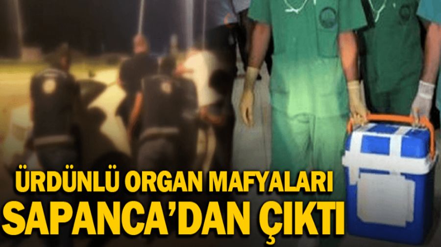 ÜRDÜNLÜ ORGAN MAFYALARININ SAPANCA AYRINTISI