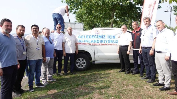 SAPANCA GÖLÜ'NE 399 BİN YAVRU SAZAN BALIĞI BIRAKILDI