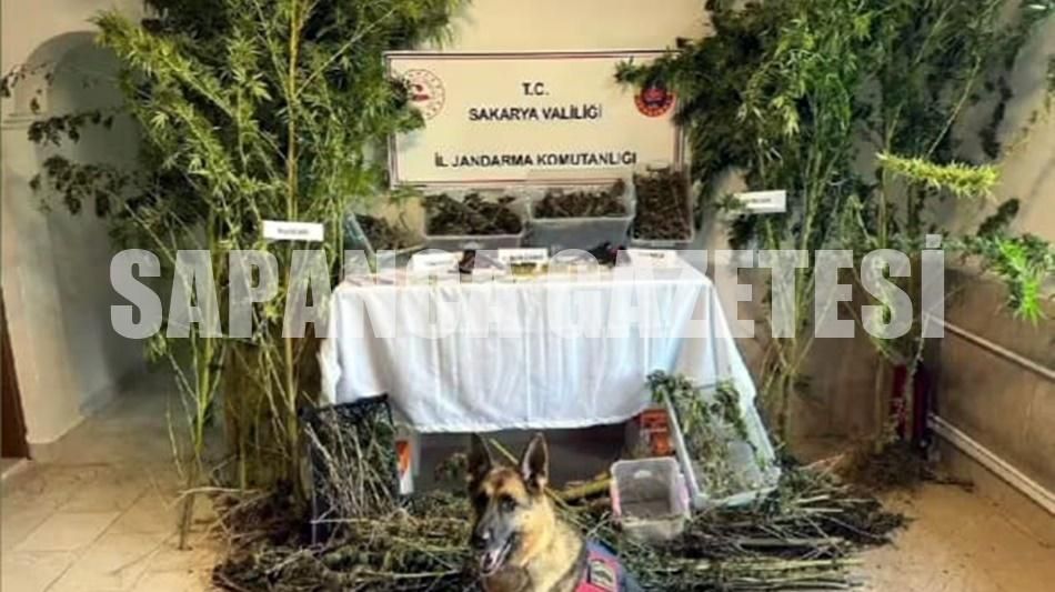 SAPANCA'DA UYUŞTURUCU OPERASYONU