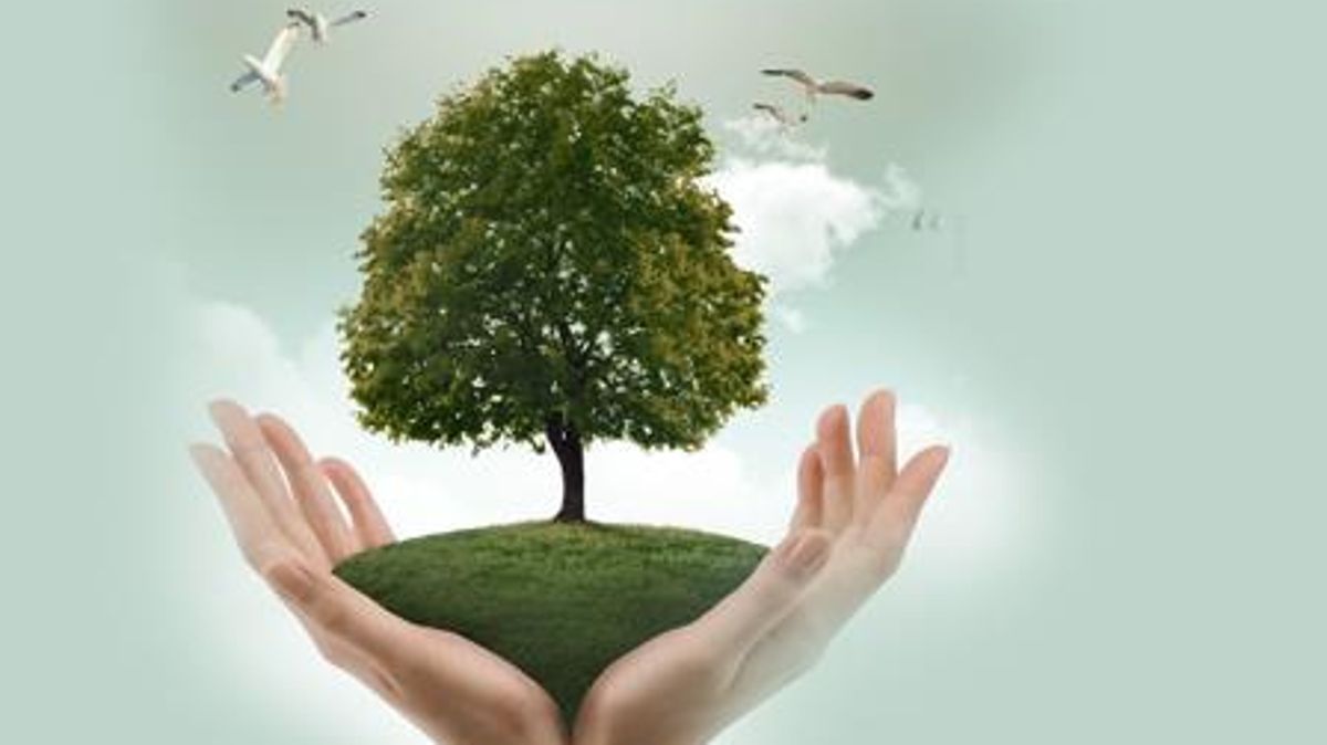 ''KATILIN, DOĞAYI KORUMADA BİRLİKTE BÜYÜK ADIMLAR ATALIM''