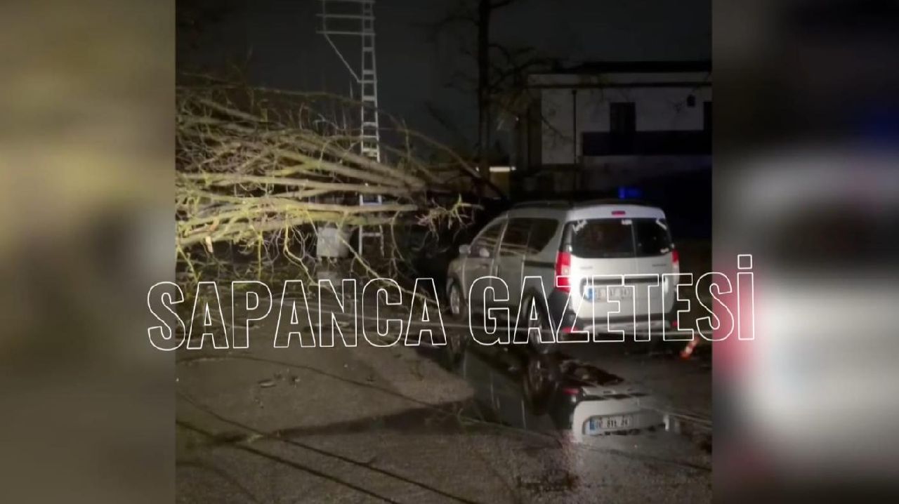 DEVRİLEN AĞAÇ MAHALLEYİ YAKLAŞIK 5 SAAT ELEKTRİKSİZ BIRAKTI