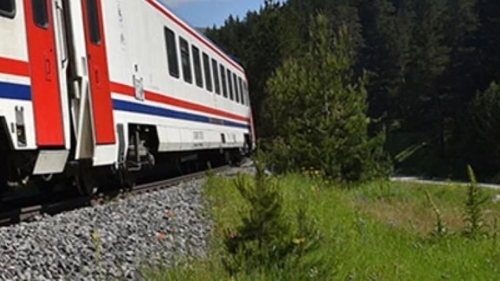 TCDD TREN YOLLARINDA OTLA MÜCADELE İÇİN İLAÇLAMA YAPACAK